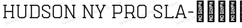 Hudson NY Pro Sla字体转换